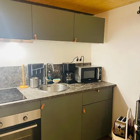 Le Cocon Lyonnais Apartment *
