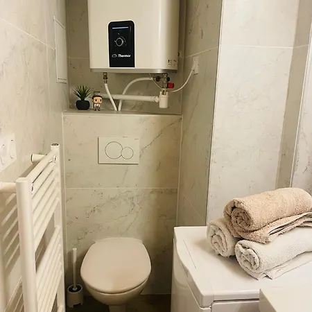 Apartment Le Cocon Lyonnais *